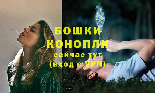 амф Богородицк