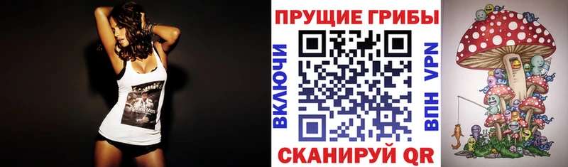 Галлюциногенные грибы Magic Shrooms  цены наркотик  Свободный 